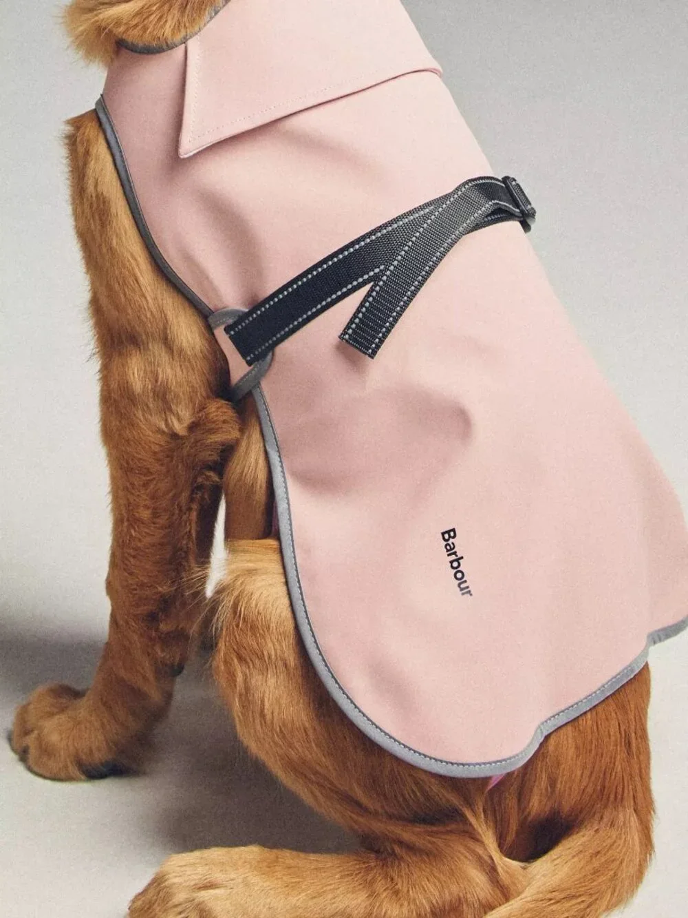 Barbour Evie Waterproof Dog Coat large